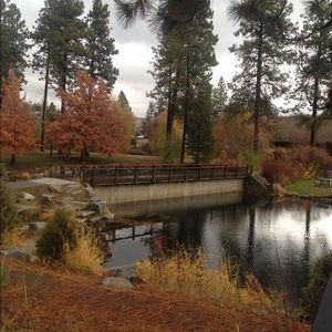 Meet your Posher, Carol